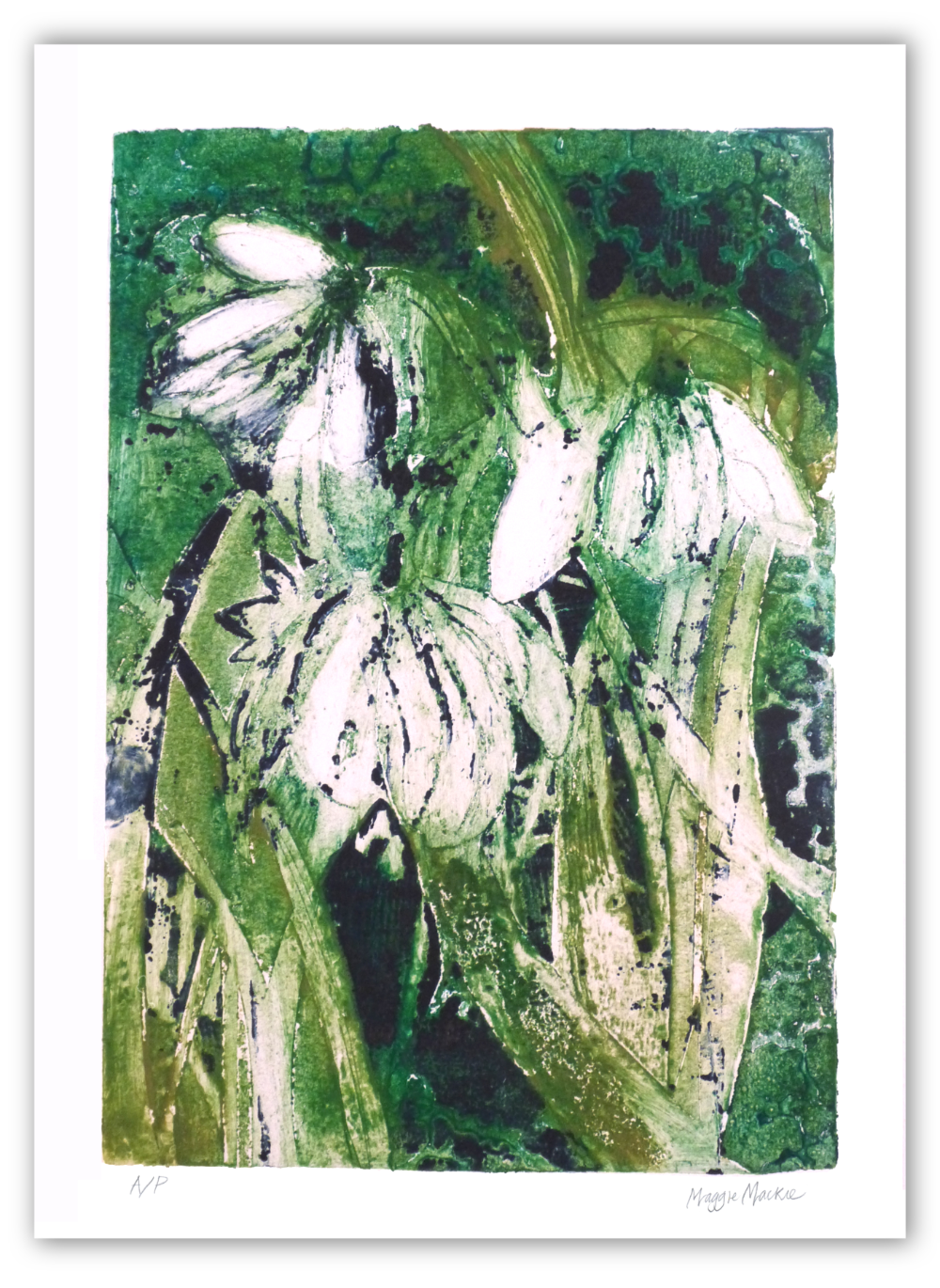 01 - Snowdrops + Shadow