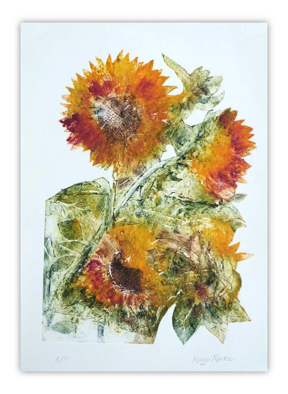 04 - Sunflowers + Shadow 1000px